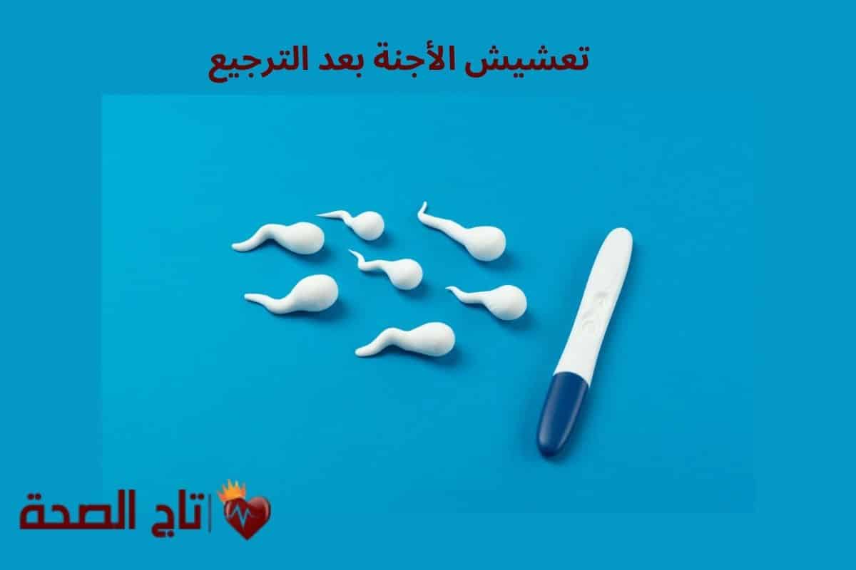 7 من أعراض تعشيش الأجنة بعد الترجيع: هل نجحت العملية؟