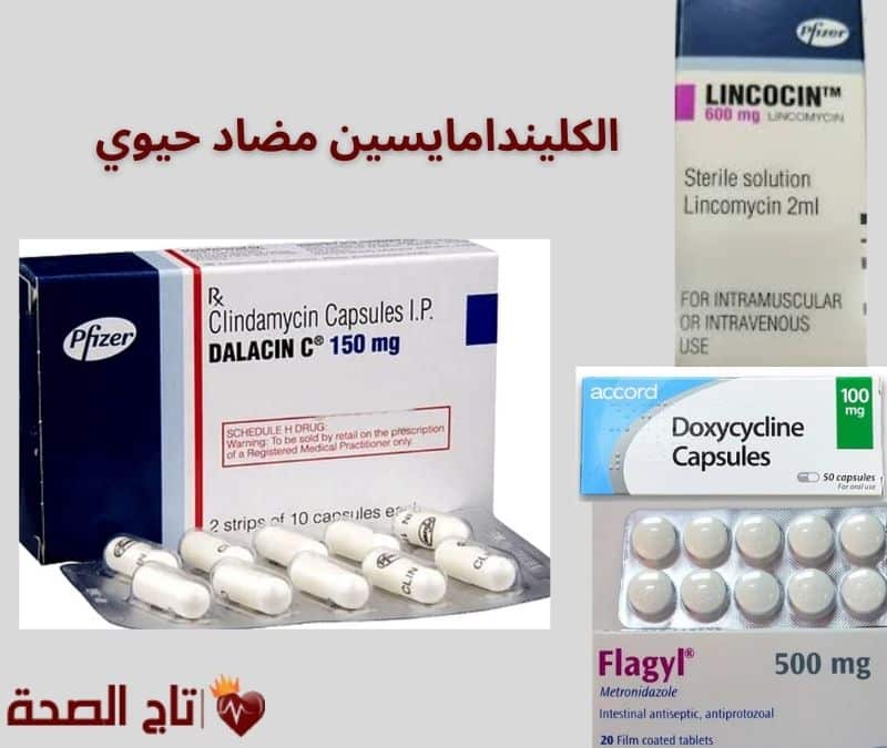 الكليندامايسين مضاد حيوي: أسرار الفعالية، الأعراض الجانبية، ونصائح الأطباء