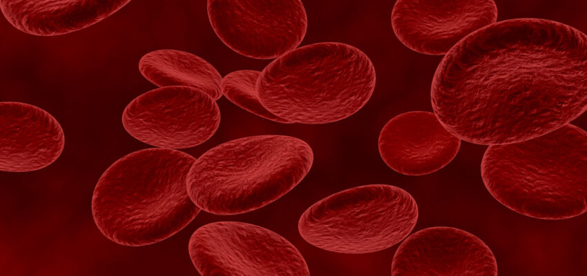 عدد كريات الدم الحمراء عند الرجل والمرأة والشخص المدخن